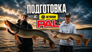 Готовы ли они к BetBoom PAL 2026? | Gator Team