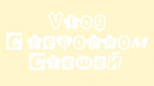 VLOG с реборном Стеша