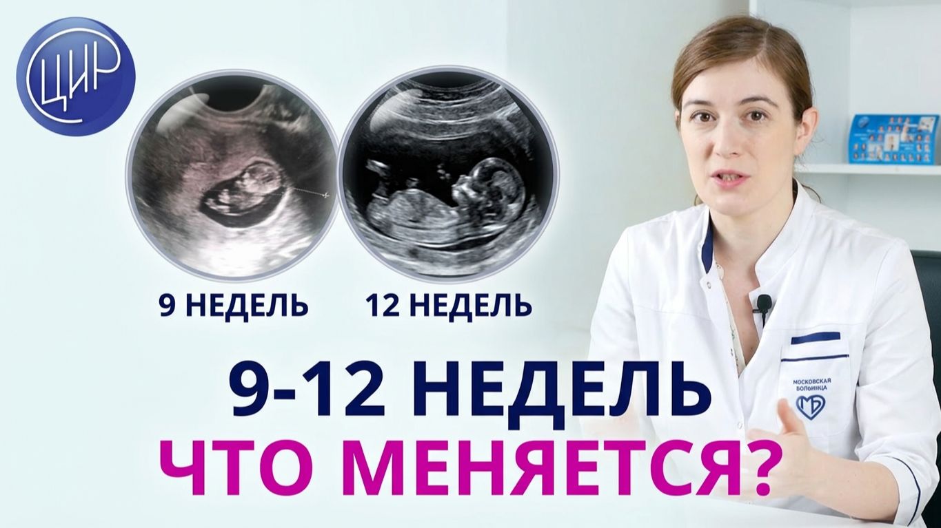 9-12 недели: как малыш начинает двигаться и когда отступит токсикоз?