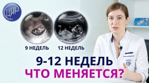 9-12 недели: как малыш начинает двигаться и когда отступит токсикоз?