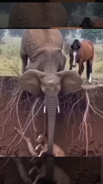 Очень сильное видео. Очень сильное видео.