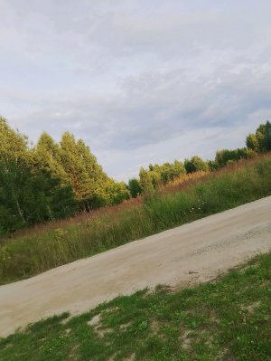 буду веселиться только с вами