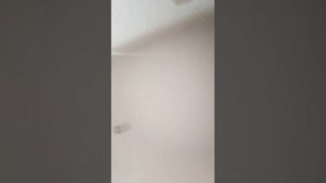 ливень!!!!!
