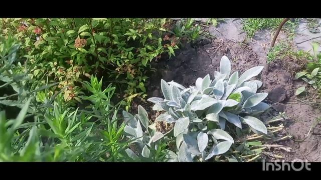 Работа во дворе, а у нас снова дождь.