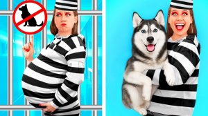 Как Пронести Животных в Тюрьму # Смешные Моменты