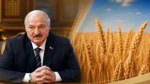 Лукашенко поручил белорусским местным органам власти убрать урожай по максимуму