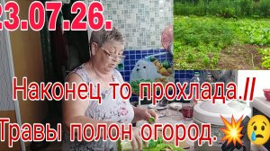 23. 07 .26 .// НАКОНЕЦ ТО ПРОХЛАДА  // ТРАВЫ ПОЛОН ОГОРОД ///