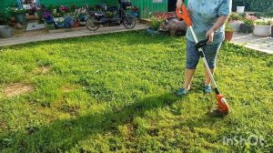 23-07-2026 года.Собрала огурцы, малину.Вечером дождь.