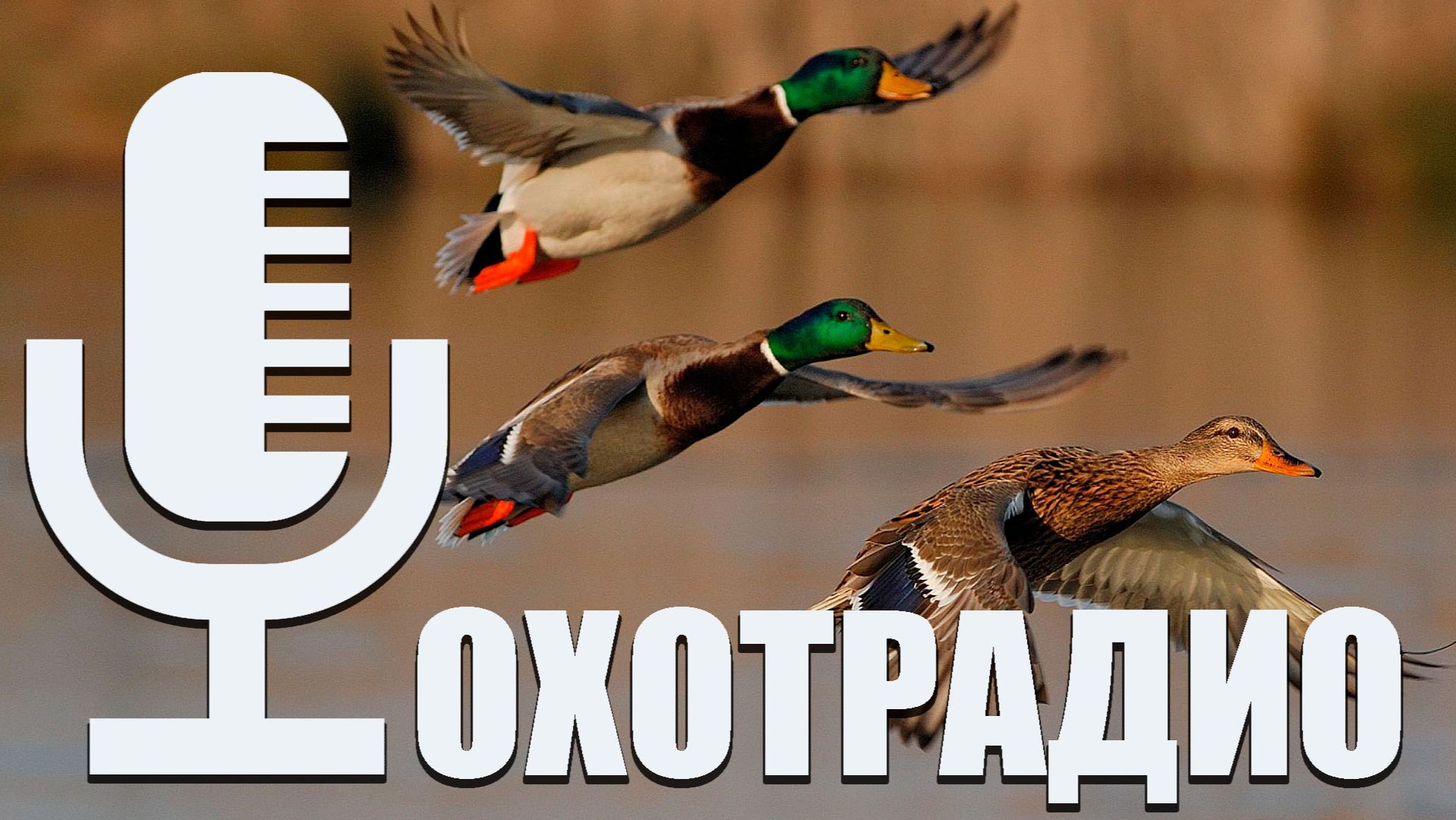БОЛЬШИЕ ПРОБЛЕМЫ С ОХОТОЙ / БУДЕТ ТОЛЬКО ХУЖЕ? смотреть онлайн