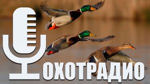 БОЛЬШИЕ ПРОБЛЕМЫ С ОХОТОЙ / БУДЕТ ТОЛЬКО ХУЖЕ?