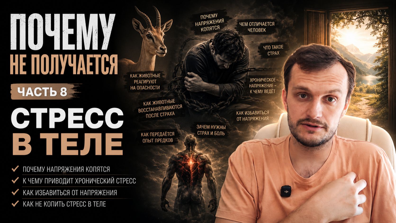 Почему не получается ч.8: Стресс в теле смотреть онлайн