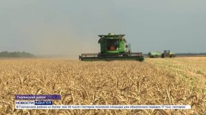 Информационный выпуск Майкопского телевидения 15.07.2026г.