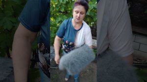 89507716355 Пуховые, тёплые, натуральные, ласковые платочки ручной работы