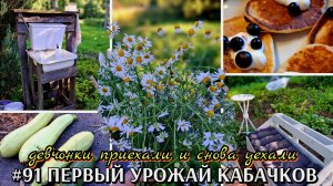 #91 девчонки приехали и снова уехали / первый урожай кабачков / огород зарос после дождей