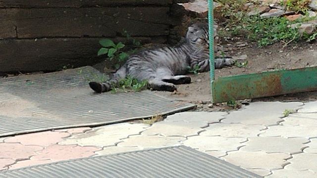 1094.mp4 смотреть онлайн