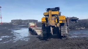 Купить бульдозер Caterpillar D8 GC
