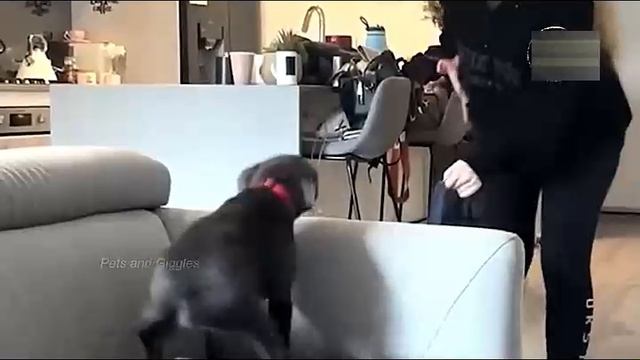 Всячинки смотреть онлайн