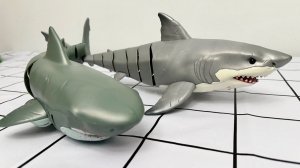 Играем с игрушечной Белой акулой! Распаковка и Обзор ярких игрушек! Мультики для детей смотреть!