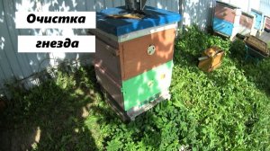 Очистка гнезда - работа, которую никто не делает.