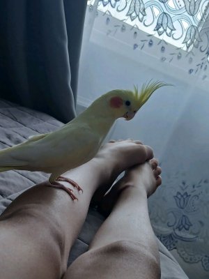 я в кино