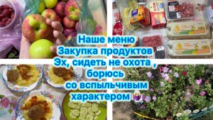 Наше меню , закупка продуктов . Эх, сидеть не охота 🤷🏼♀️ Борюсь со вспыльчивым характером)
