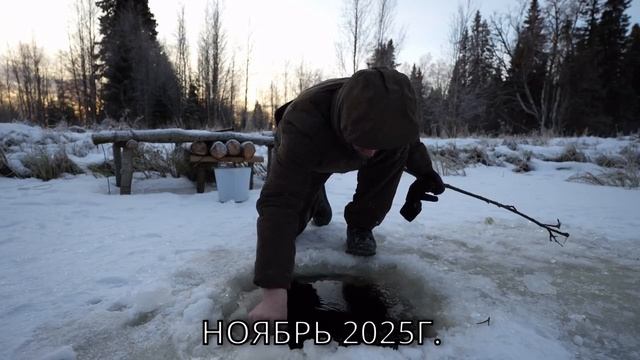 ИЗБА СОГРЕЛА В СИЛЬНЫЙ МОРОЗ. ОХОТА НА БОРОВУЮ ДИЧЬ. смотреть онлайн