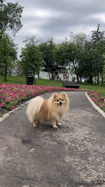 Бася очень послушная актриса!