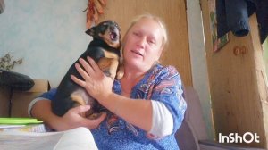 ДВА ЧОКНУТЫХ НАШЛИ ДРУГ ДРУГА,ЧТО УСПЕЛА ДО ДОЖДЯ,УМЕЕТЕ ДАТЬ НУЖНЫЙ СОВЕТ