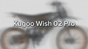 Боль Kugoo Wish 02 Pro