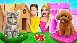 Строим Секретные Домики для Животных _ Богатая Собака vs Бедная Кошка