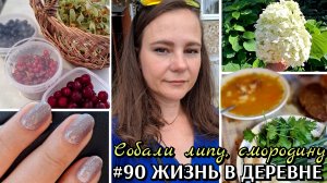 #90 собрали липу, смородину частично / урожай малины 😁 / #деревенскаяжизнь