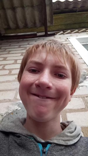 дом