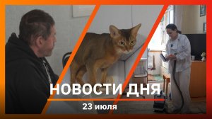 Новости Уфы и Башкирии 23.07.26: операция кошке, уборка в малосемейках и трудоустройство бездомных