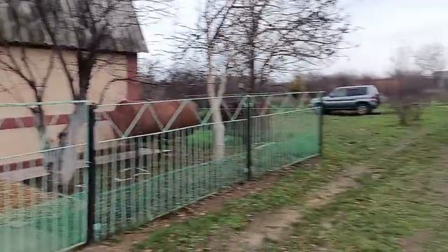 VID-20251119-WA0004 смотреть онлайн