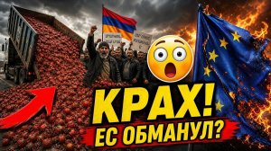 ПОМИДОРНЫЙ БУНТ 200 тонн гниют, а власти молчат Жестокий урок геополитики