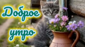 Доброе июльское утро. Роскошная музыкальная открытка.