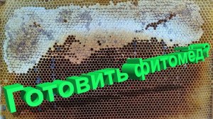 Фитомёд: целебная добавка или маркетинг? Отвечает профессор Кашковский 🍯🌿