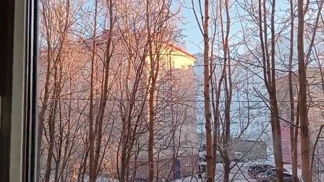 Погода за окном Мороз