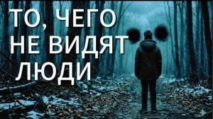 Мы этого не видим