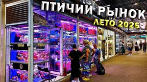 Масштабная закупка новой рыбой на птичьем рынке Садовод летом 2026