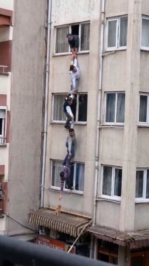 Спасение кота