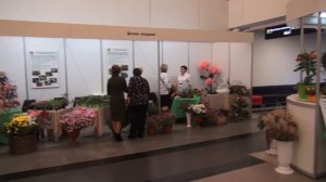 В Новосибирске отметили день дачника // «Новости 49» 23.07.26