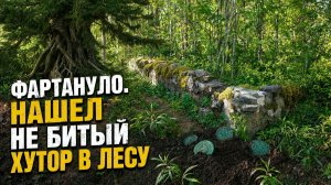 Нашел  не битый лесной хутор