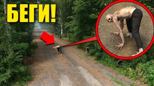 ЕСЛИ УВИДИШЬ ЧТО ОН ПЕРЕКРЫЛ ДОРОГУ, СРОЧНО БЕГИ! УГАР И БЕЗУМИЕ В Garry`s Mod