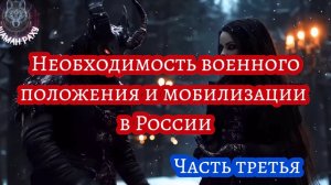Необходимость военного положения и мобилизации в России. Часть третья.