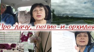 С дачи в город и обратно!