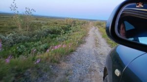 Воркута. 22.07.26. Тундра на закате.