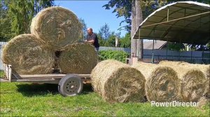 Остаёмся с мелким скотом 🐐🐐🐏🐏 Заготовили веники и сено/ В деревне сгорела два дома 😱
