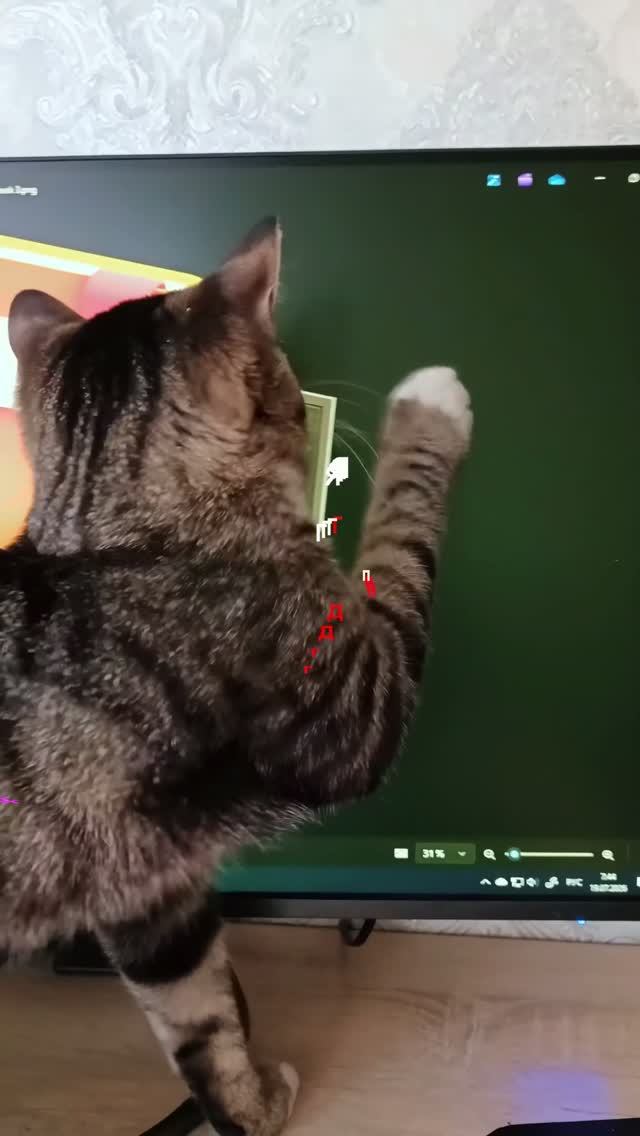 😹 Охота века!