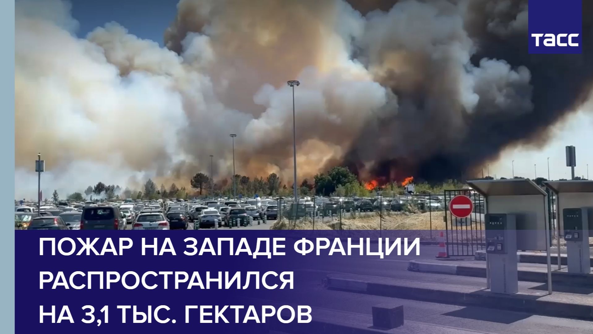 Пожар на западе Франции распространился на 3,1 тыс. гектаров смотреть онлайн